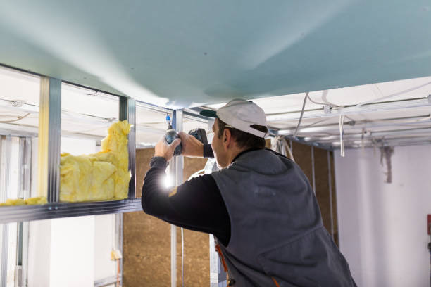 Best Commercial Insulation in La Mesilla, NM