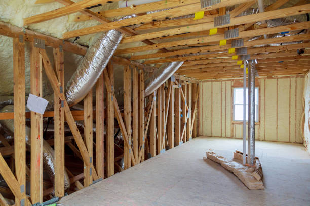 Best Residential Insulation in La Mesilla, NM