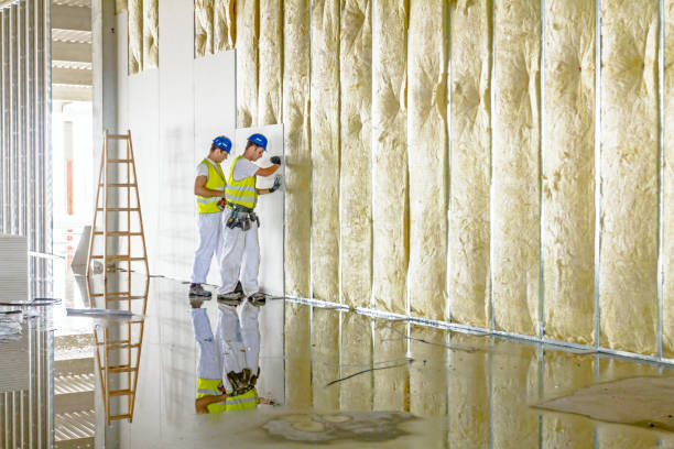 Best Insulation for Specific Applications in La Mesilla, NM